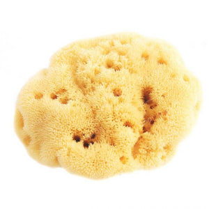 Adriatic Sea Sponge Single - 100% Natural and Sustainable