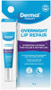 Dermal Therapy Overnight Lip Repair