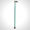 STRIDER Fashion T Handle Walking Stick Green
