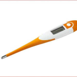 Boss Thermometer Digital Waterproof