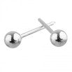 S75 75120300 4mm Ball Stainless Steel