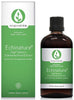 Kiwi Herb Echinature 200ml