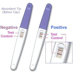 Sbm Pregnancy Test Midstream 2Pk