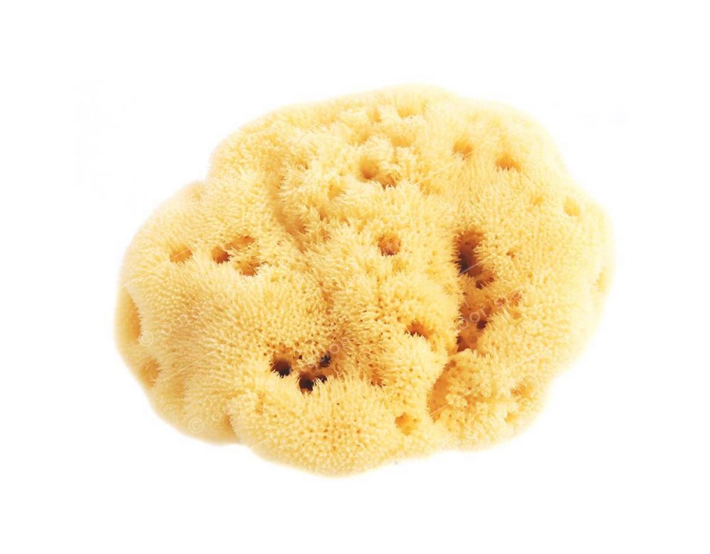 Adriatic Sea Sponge Single - 100% Natural and Sustainable